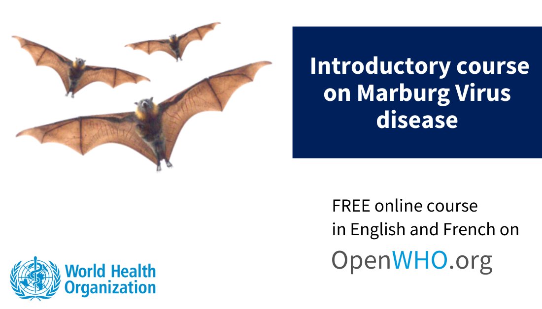 On 13 February, Equatorial Guinea confirmed its first-ever outbreak of #Marburg virus disease.

Learn more about this highly virulent disease that causes haemorrhagic fever in our free #OpenWHO online course:
👉 bit.ly/3Xz6WFf