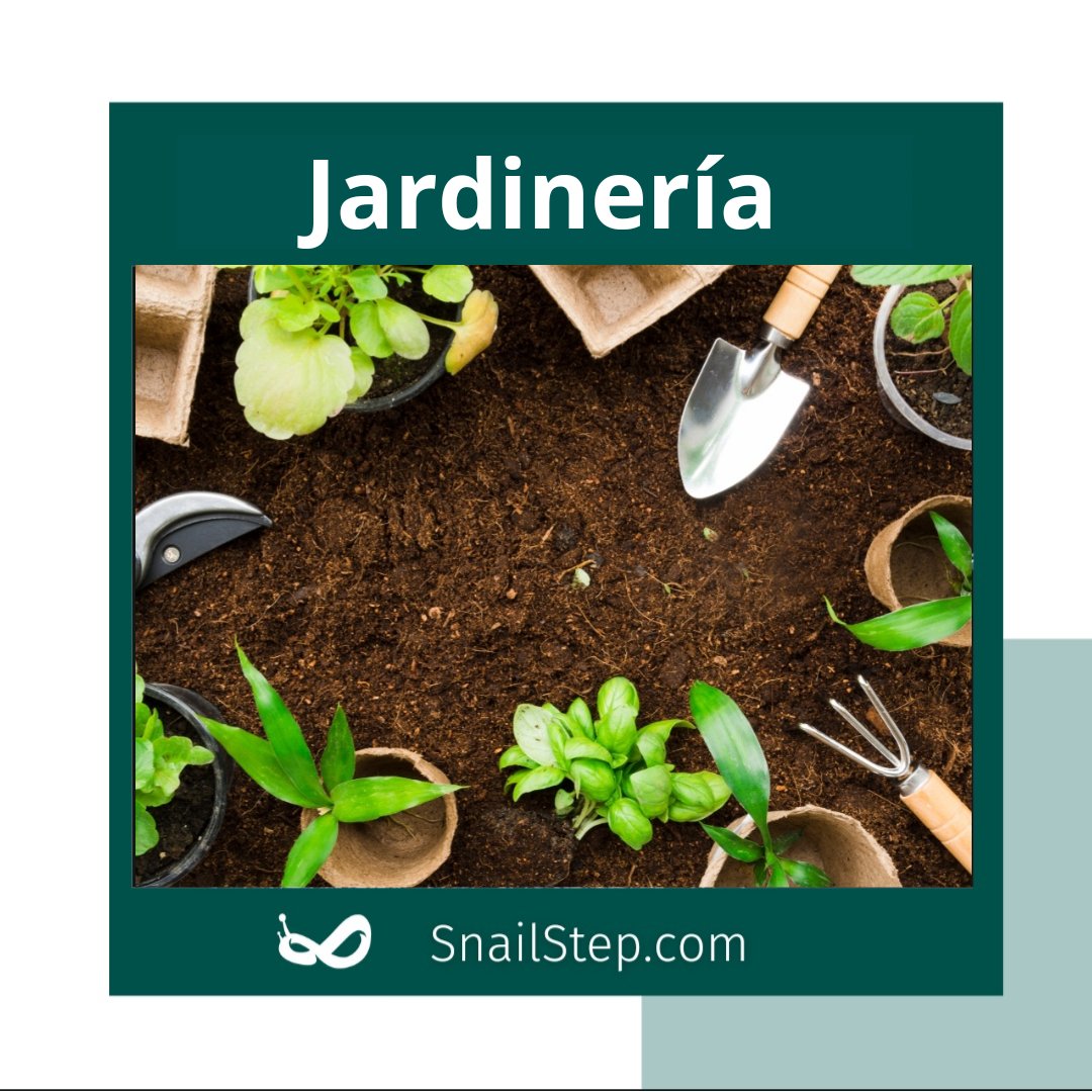 snail.step tweet media