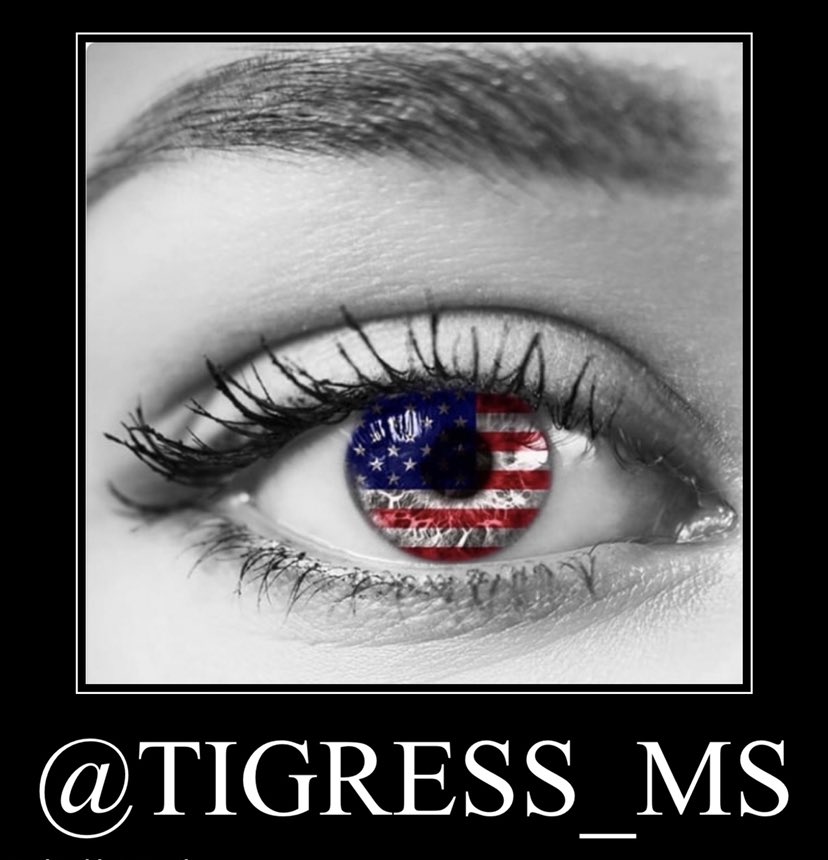 🗽 MsTigress 🐅🐾 tweet media