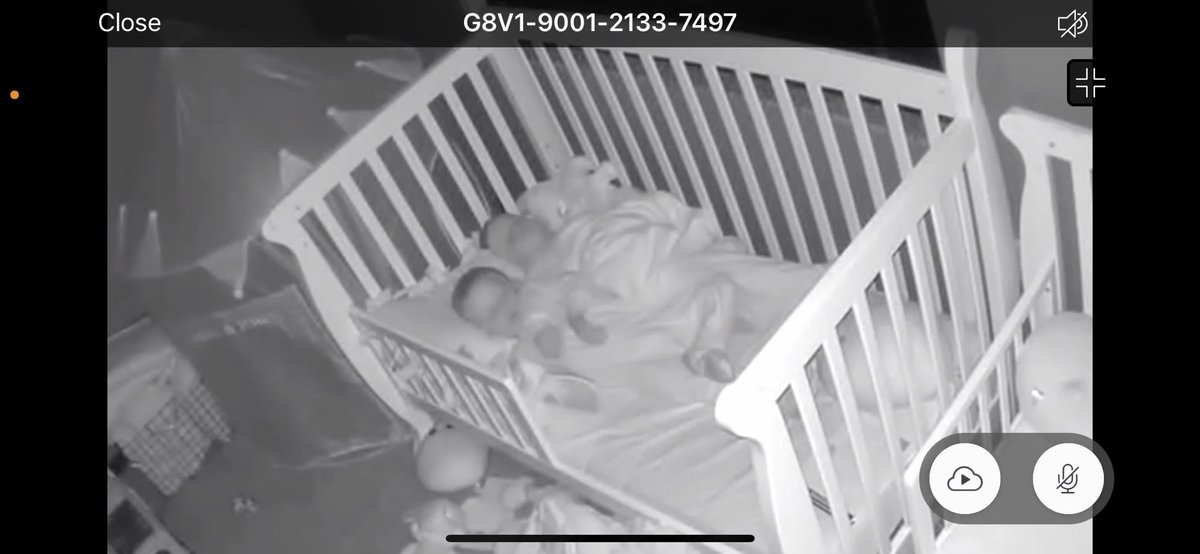 vaught_v's tweet photo. Worst part of having twins, they know exactly how to make each other mad and there doesn’t appear to be a limit for how far a fight will go these days 🙈 best part, they’ll always be best friends at the end of the day 🥺❤️ @jvBraves https://t.co/0AU791lQm7