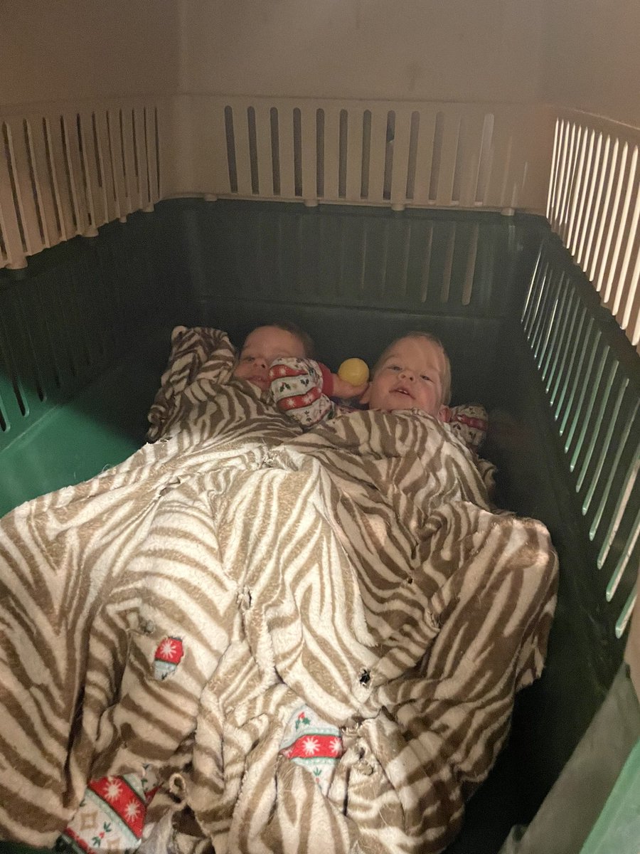vaught_v's tweet photo. Worst part of having twins, they know exactly how to make each other mad and there doesn’t appear to be a limit for how far a fight will go these days 🙈 best part, they’ll always be best friends at the end of the day 🥺❤️ @jvBraves https://t.co/0AU791lQm7