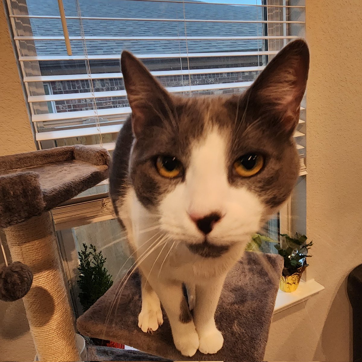 MrRikerMeow's tweet photo. #NewProfilePic https://t.co/L8zEkACd6p