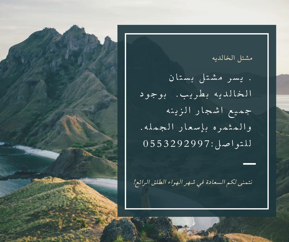 بستان الخالديه tweet media
