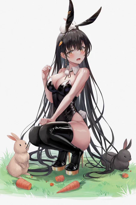 bunny 