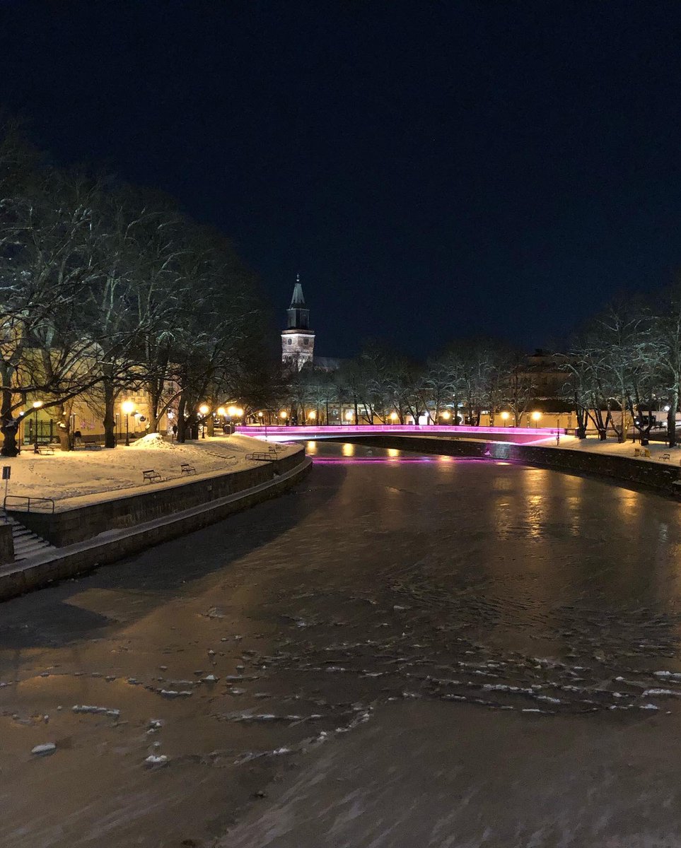 LailaSusanna 🦄 tweet media