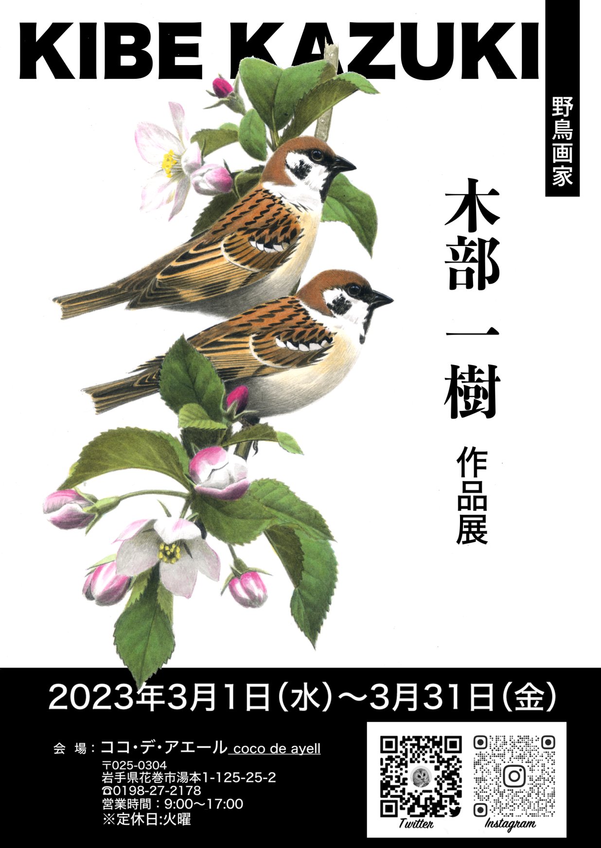 野鳥画家「木部一樹」アクリル画 うそ