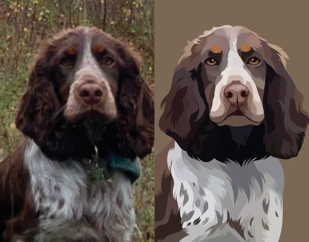 A few recent pet portraits, look at these lil cuties 🥹

Order your custom pet portrait phone case at nostalgia.co.uk/Pets

🐶🐱🐭🐰🐨🐮🐷🐸