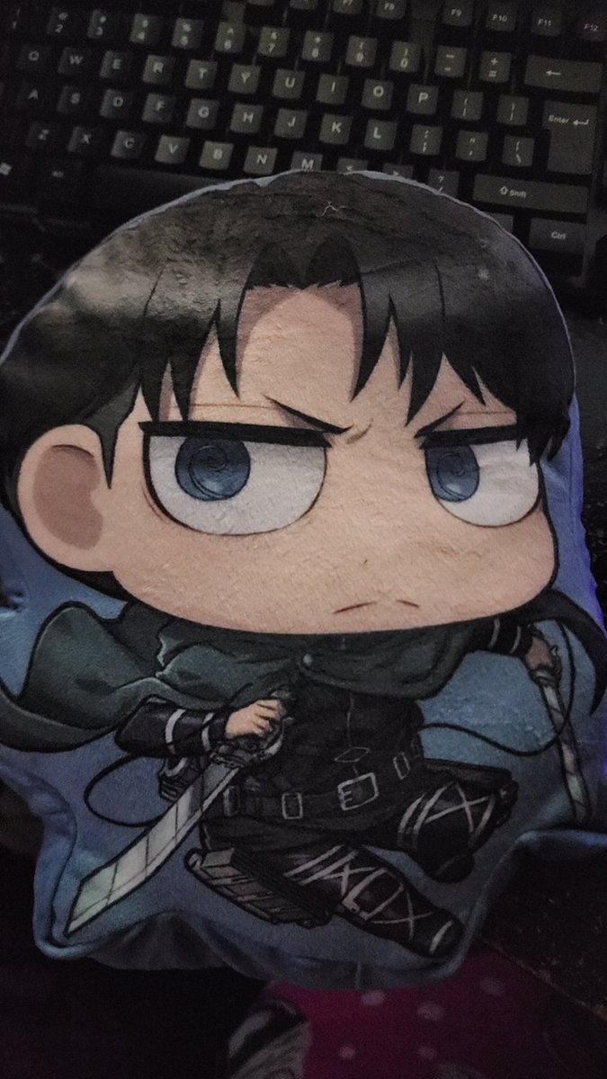 racoonsiut's tweet photo. 😍 #AttackOnTitan #fivebelow #pillow #wallmaria #levi #daddy https://t.co/1VdcZkZJbP