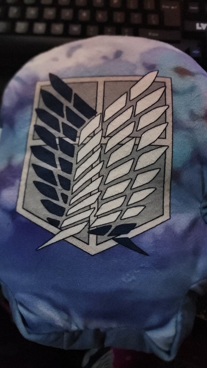 racoonsiut's tweet photo. 😍 #AttackOnTitan #fivebelow #pillow #wallmaria #levi #daddy https://t.co/1VdcZkZJbP