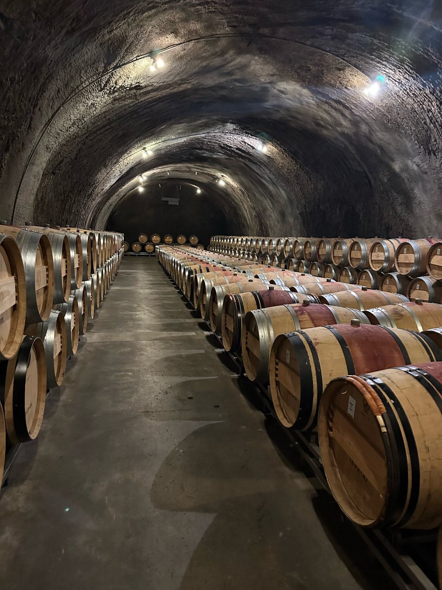 BradLemons7's tweet photo. Great day visiting Repris and tasting some delicious wines… https://t.co/sLmu0Ug2uG