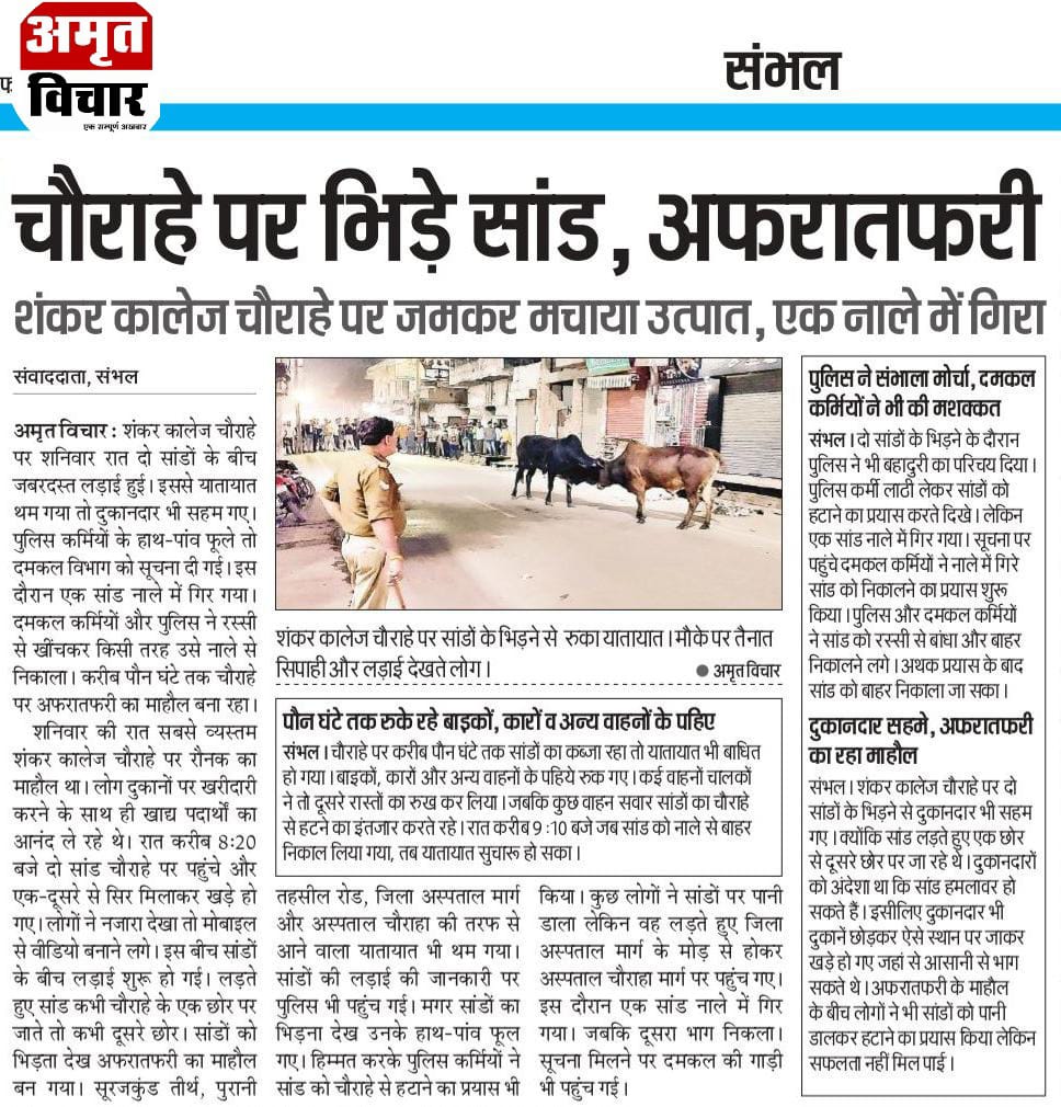 PinkiYadavMLA's tweet photo. सम्भल के हर गली, कूचे और सड़क पर आवारा पशु मचा रहे उत्पात!
गूंगी, बहरी और अंधी बनी हुई बैठी है भाजपा सरकार।

नींद से जागें मुख्यमंत्री। आवारा पशुओं की समस्या का हो समाधान।
#Sambhal https://t.co/3D8dEM96xZ