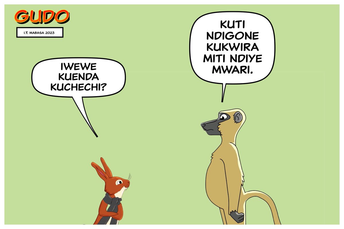 Gudo kuchechi?