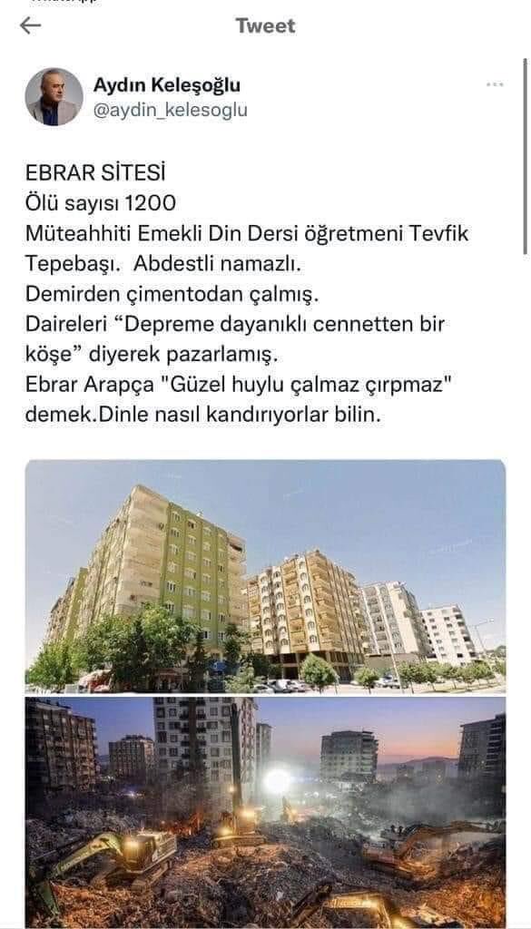 Orospu çocuğu çöl fareleri