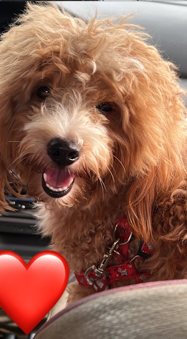 chivewon's tweet image. 01:17