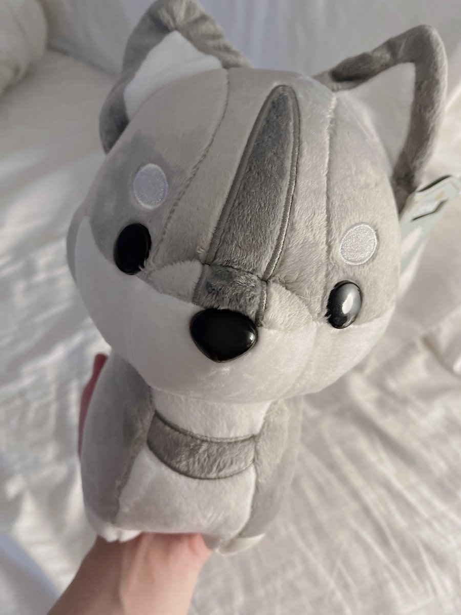 shxtou's tweet photo. I HAVE A NEW FRIEND 🐶 https://t.co/sTPNc05Zbt