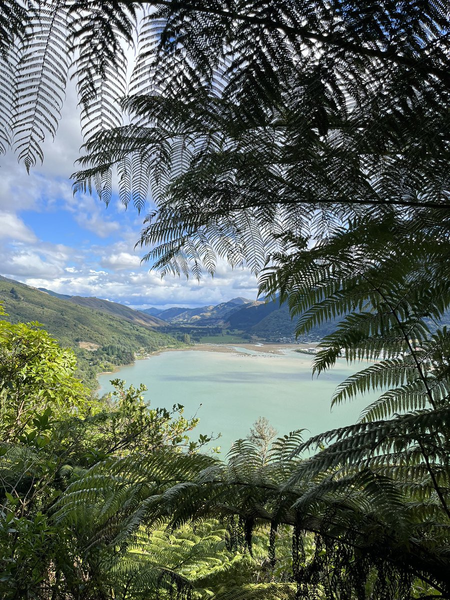 HorstRider's tweet photo. It’s been a good week on the South Island https://t.co/T5YRGJOYIG