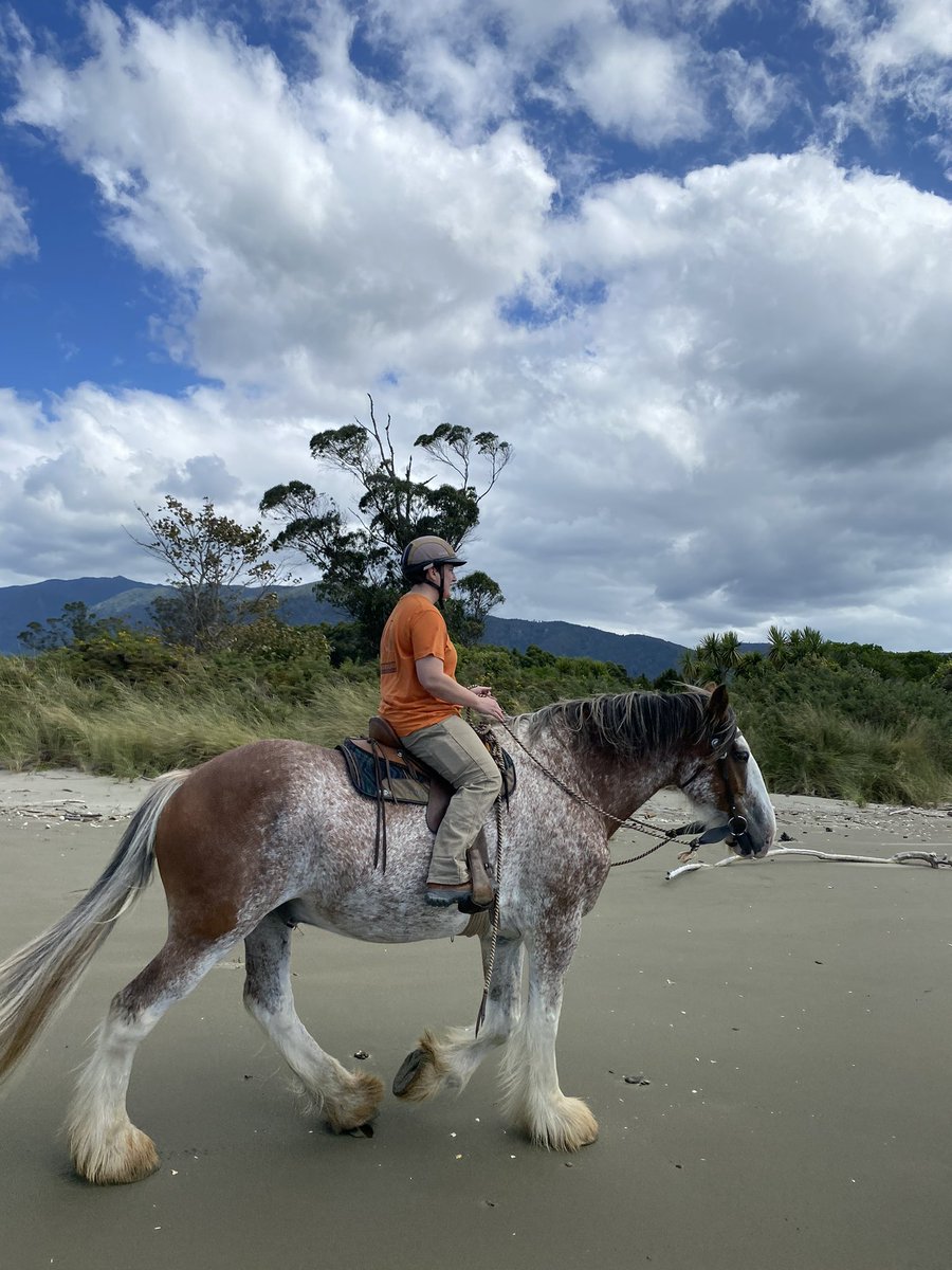 HorstRider's tweet photo. It’s been a good week on the South Island https://t.co/T5YRGJOYIG