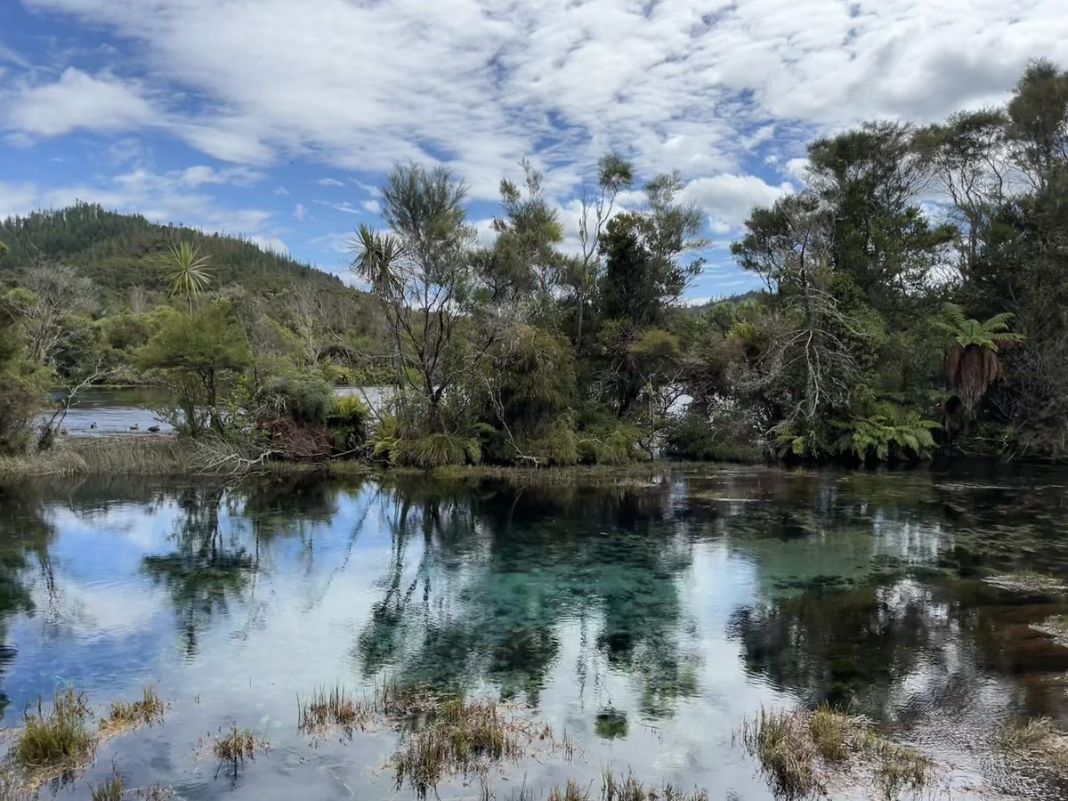 HorstRider's tweet photo. It’s been a good week on the South Island https://t.co/T5YRGJOYIG