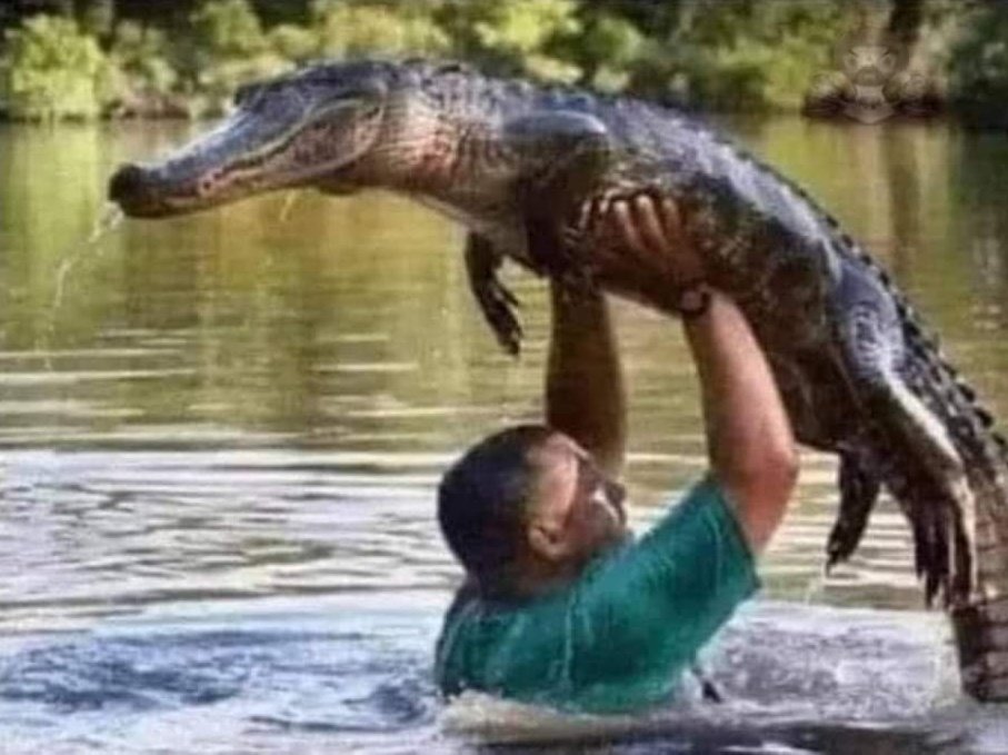 I had 
The time of my life
And I never felt this way before
I'm scared 
It's the truth
Have you measured this thing's tooth?