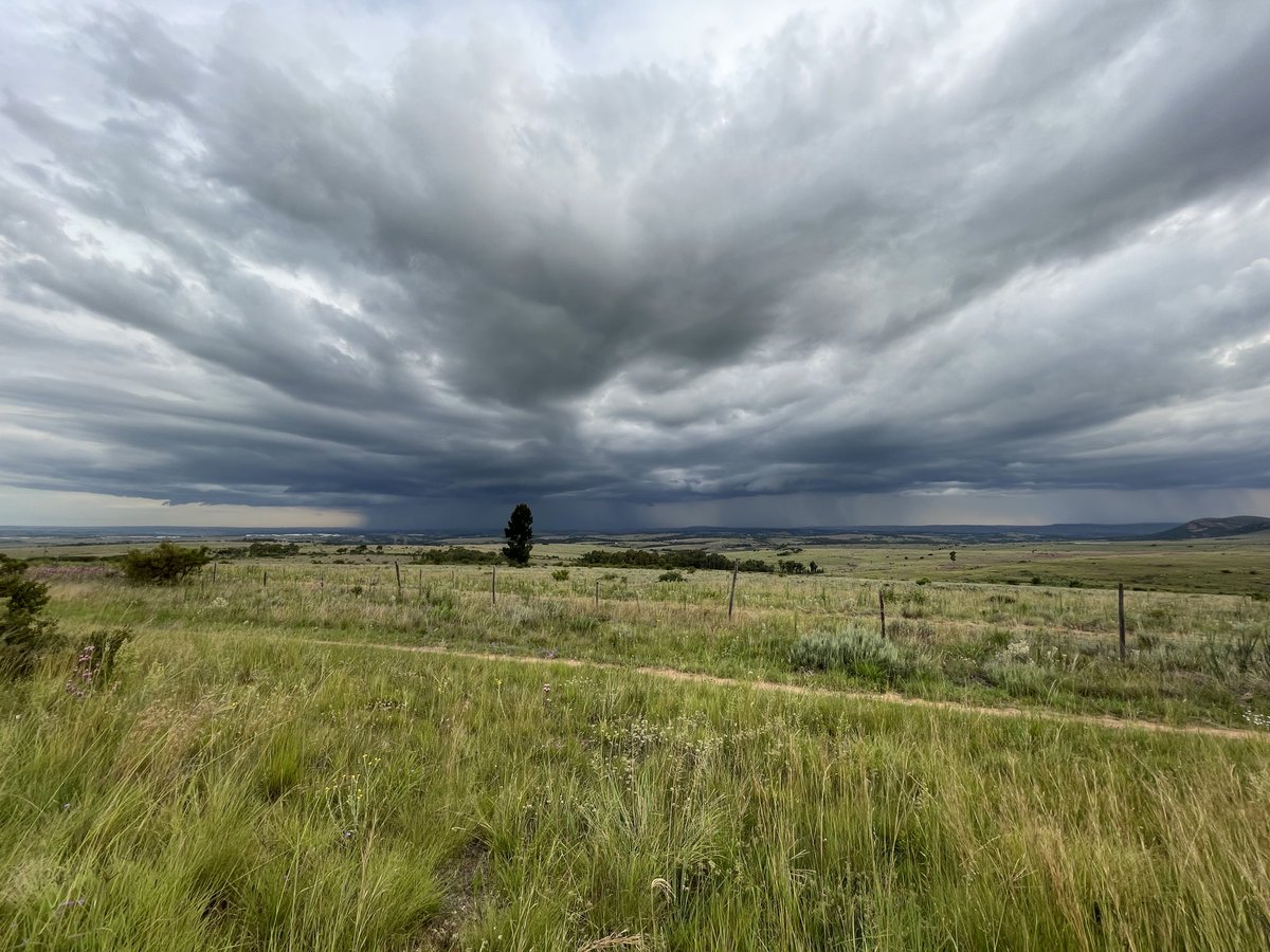 A storm on the horizon in The Cradle, Gauteng, South Africa #cradleofhumankind