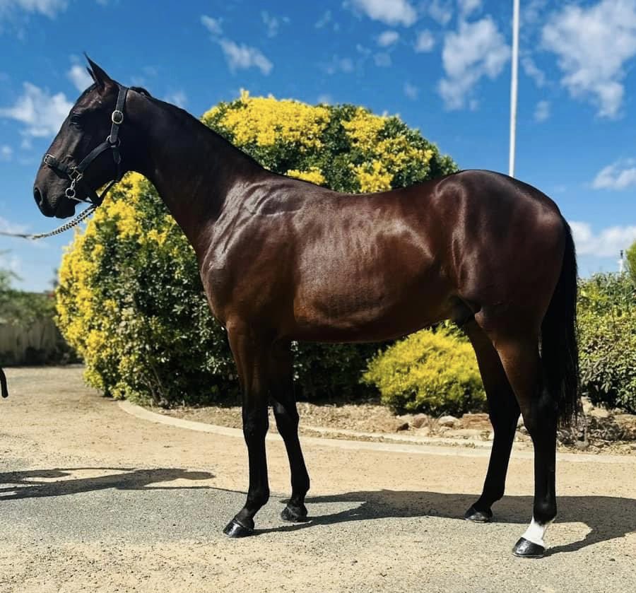 Jared Kahlefeldt tweet media