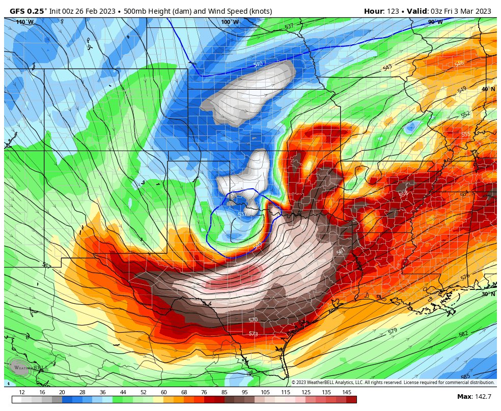 Zachary Hall tweet media