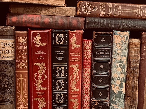 Autumn_ish's tweet photo. These kind of bookcovers makes my heart skip a beat 🤍
But they are expensive 🥺
Disclaimer: I don't own any of the photos, google image is the source.
#hardcover #hardback #hardbound #Hbk #books #booktwt https://t.co/c0j9PbR2jL