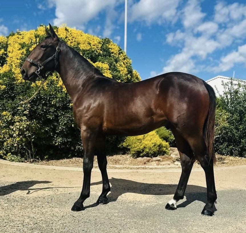 Jared Kahlefeldt tweet media