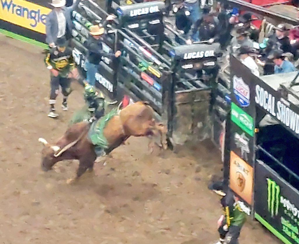 _jcorral's tweet photo. We took some students from Dorothy Kirby Center and Camp Scott to the Professional Bull Rider's Association event at @cryptocomarena today. Thanks to Ariel Fields from @PBR for making it possible for us to attend #BeCowboy #PBRLA @LACProbation @LACountyPOC #ProbationEdServices https://t.co/cmkTqwHO4H