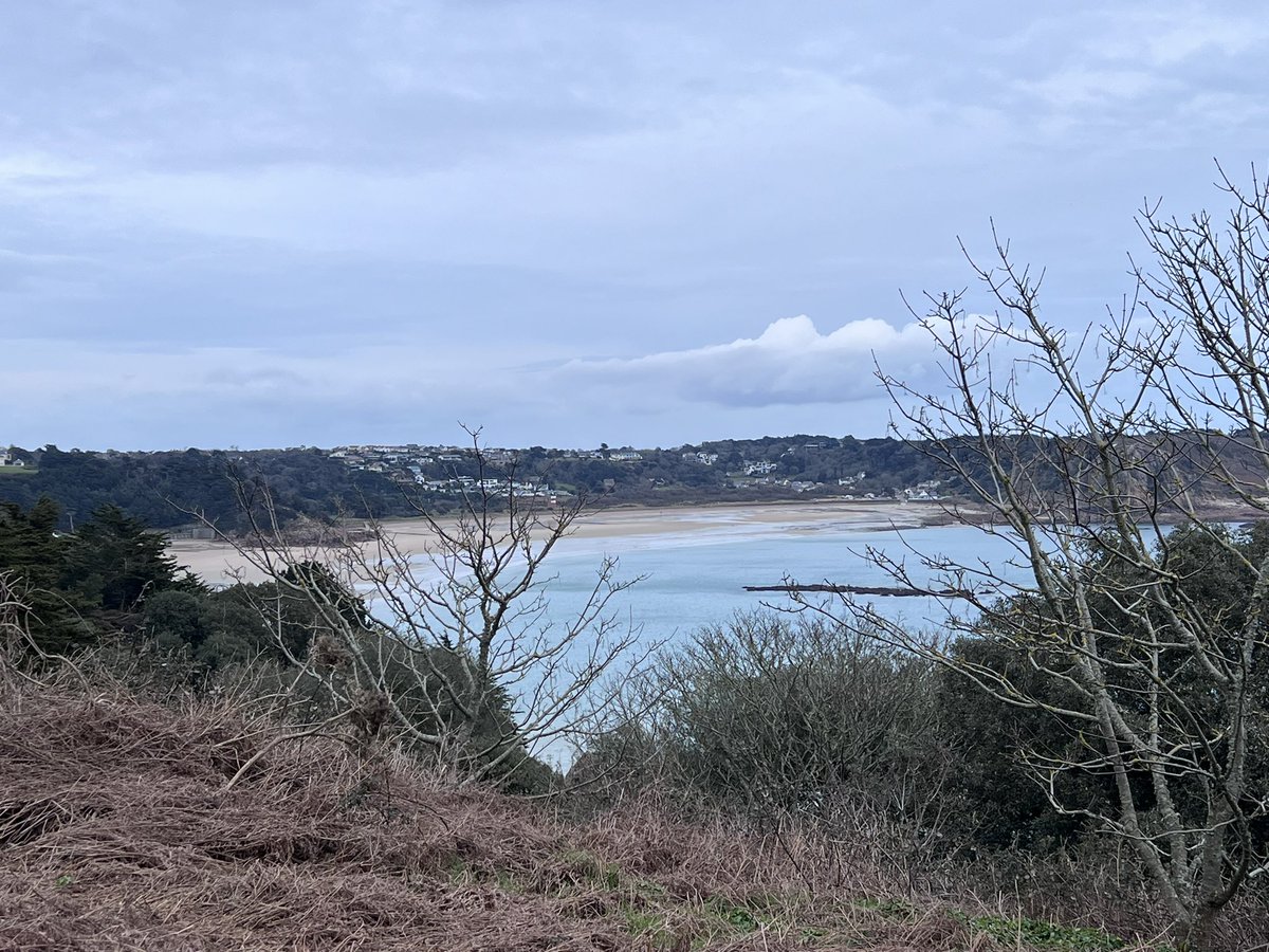 St Brelade’s Bay Association tweet media