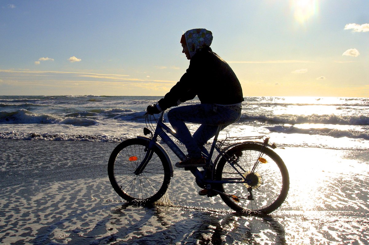 magicfluid tweet media