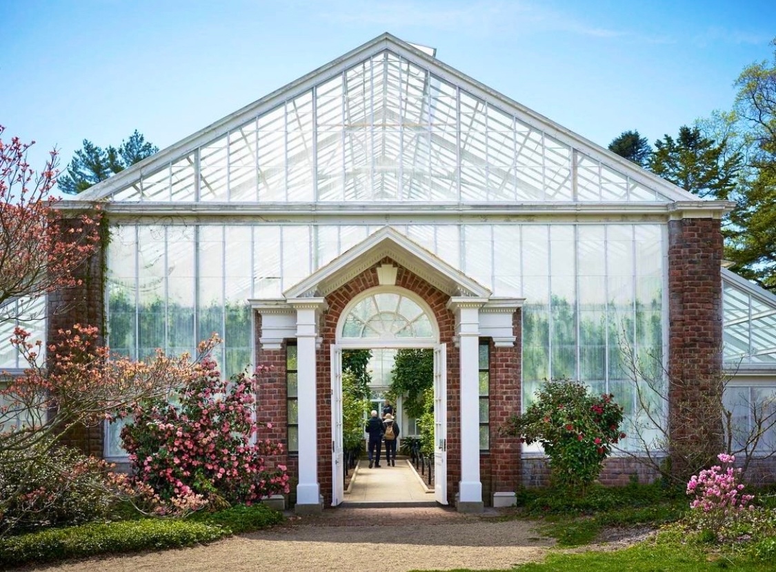 DiscoverLINY's tweet photo. Spring has already sprung inside the @plantingfields greenhouses ๐๐ธ
๐ธ: @plantingfields @ashleyveephotography
#discoverlongisland #whereyoubelong #longislandnewyork #longisland #liny #longislandny #thingstodoli #plantingfields #oysterbay #greenhouse https://t.co/2S8C83zPvU