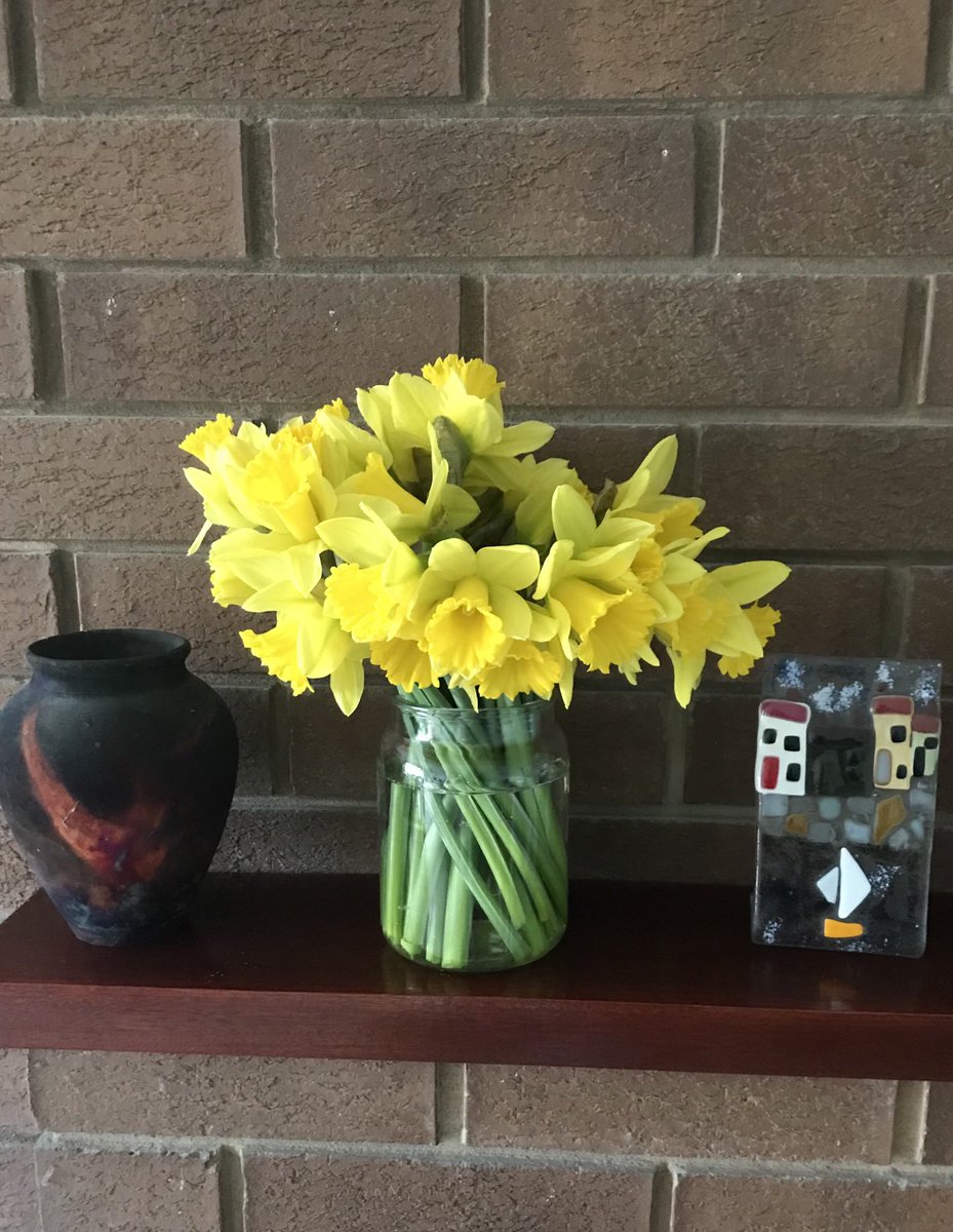 cfs_jo's tweet image. Some cheery daffs ☺️ 🌼 #JoyInWinter #JoyInSpring