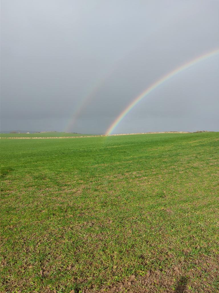 John Readman tweet media