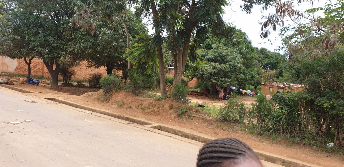 ServiceSammy1's tweet image. Parcelle sur la route principale de sport en vente à Lubumbashi, quartier kingalabuamba. Réf. L'avenue de cité de jeune , commune de kapemba

SUPERFICIE: 25m/30
PRIX: 17.500$ à discuter.

C'est une opportunité pour ceux qui souhaitent avoir une parcelle sur la route principale ,