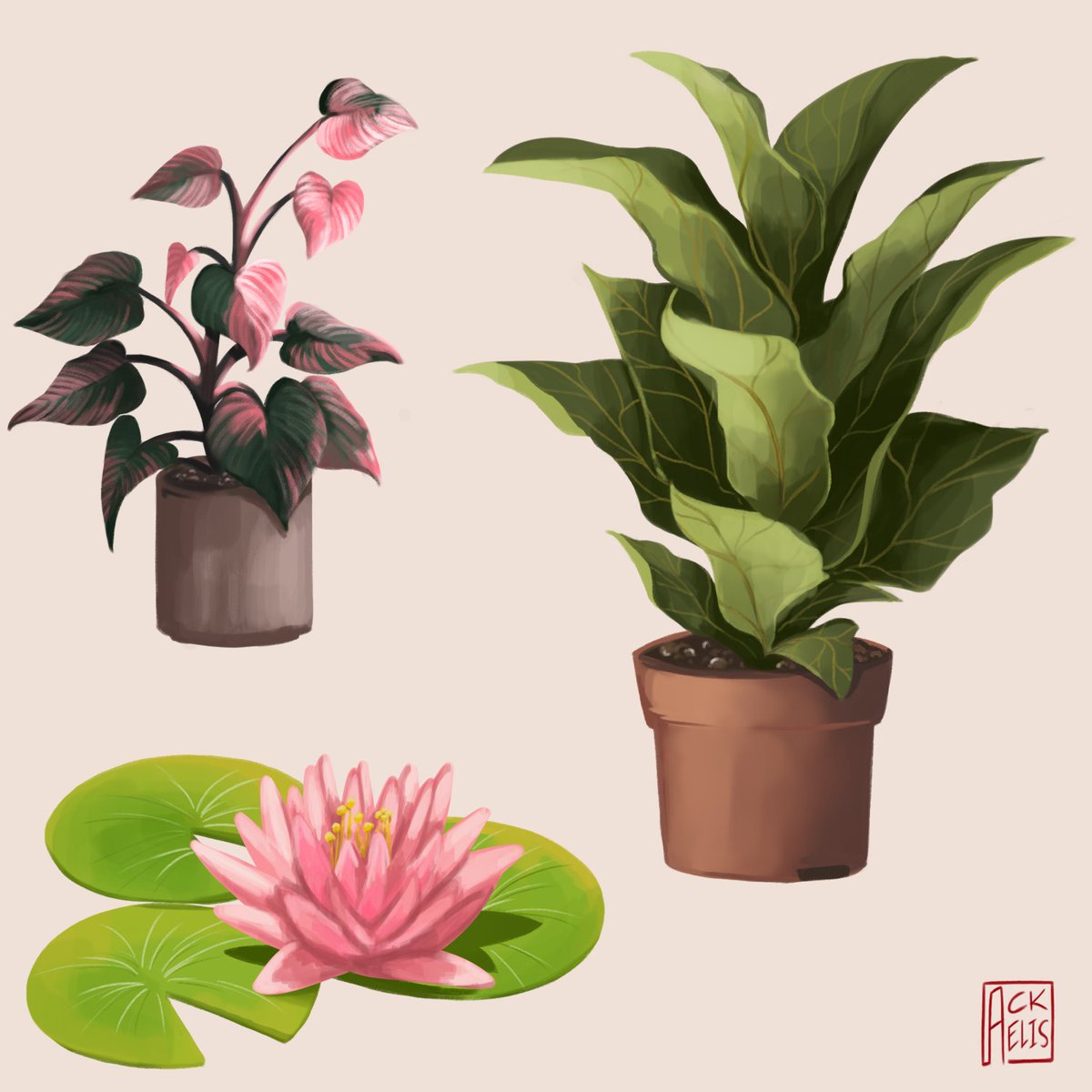 kit 🍂 tweet media