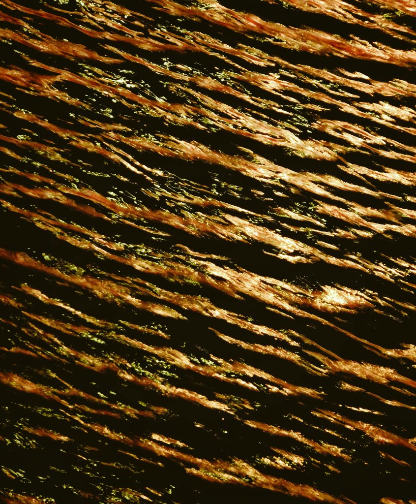 cts250dr105's tweet image. water reflection(水面反射)
 
Sony cyber-shot DSC HX90V

#水面反射
#waterreflection
#コンデジ
#sonycybershotdschx90v
#cybershothx90v
#hx90v