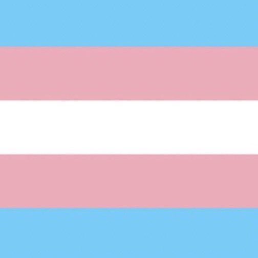 these characters are trans 🇵🇸🏳️⚧️ tweet media
