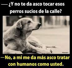Lostinpit1's tweet photo. Feliz Domingo a las personas honestas y de bien! https://t.co/31xBFKPKwc