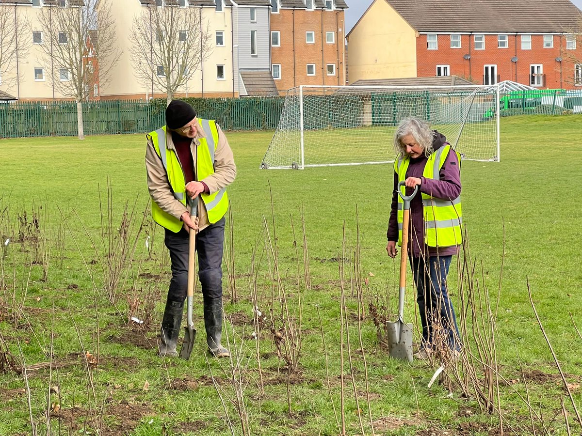 Redwood Park Academy fruiting hedge planting on 25 February with Lord Mayor Hugh Mason, Tree Council Richard Pollard, Cllrs Asghar Shah, Lee Mason, Matthew Atkins and Ben Swann, Tree Wardens and some 100 other keen helpers was another great success. 744 saplings were planted