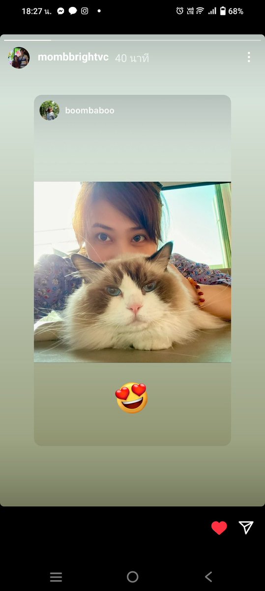 momthanach's tweet photo. เอามาให้หายคิดถึง มาดูแมวดำน้ำทำกับข้าวบ้านเรามั้ย🤍☀️😺🎵
#BrightSaturdayNight
#BrightAnotherSong
#RISERMUSIC
#bbrightvc @bbrightvc https://t.co/hxYfxuNm3V