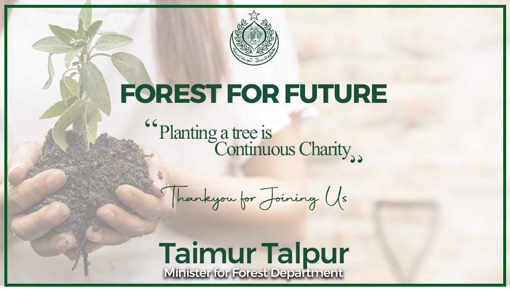 #CleanGreenSindh #ForestforFuture