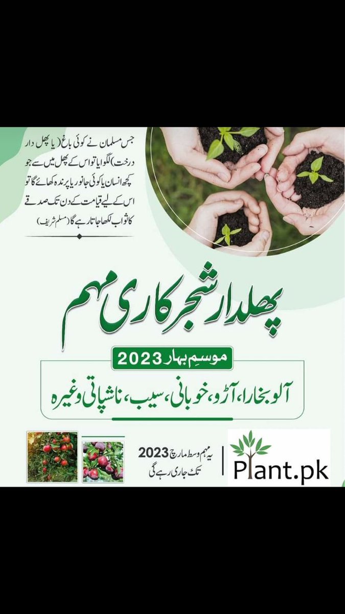 MuneebMobi69's tweet image. Darakht Lagao Sadqa Karo
#SaveEcoSystem