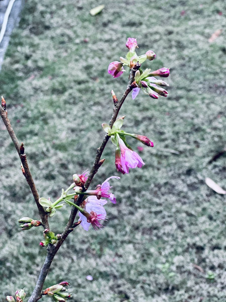 AmberBeHere  tweet media