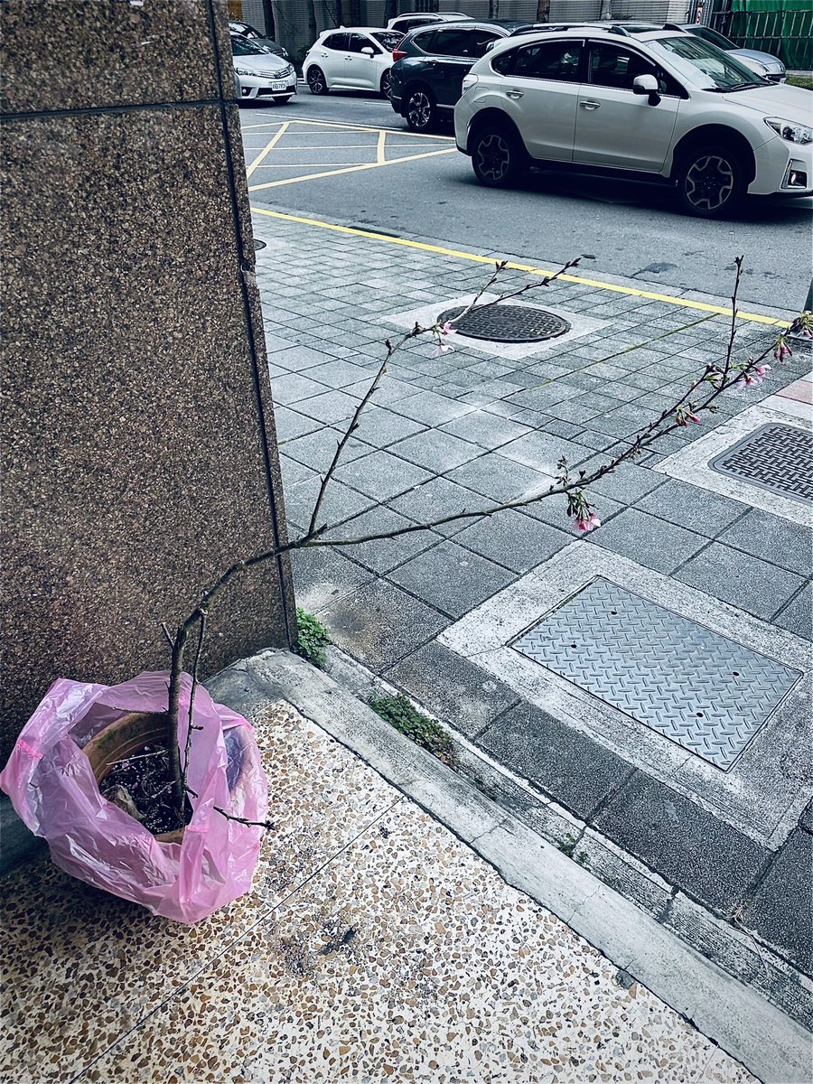 AmberBeHere  tweet media