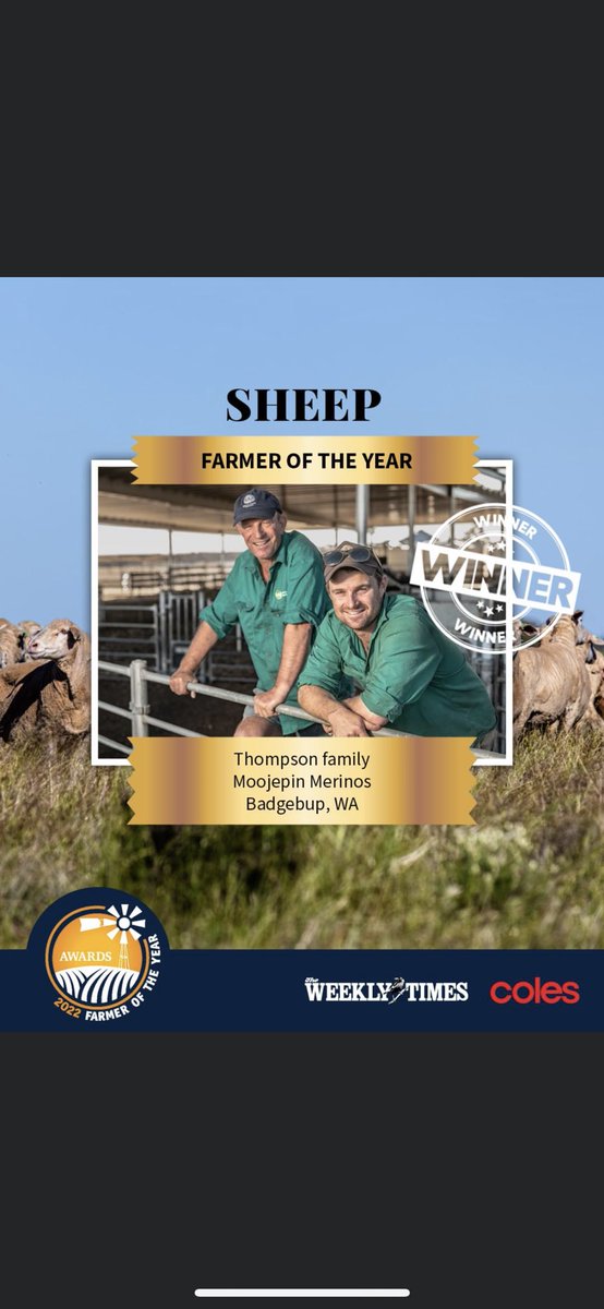 What a whirlwind couple of weeks we have had. Being nominated for such a prestigious award was humbling in itself but to walk away a national winner was truly spectacular. Thanks to Coles and <a href="/theweeklytimes/">The Weekly Times</a>. Excited to crack on with our breeding journey #maternalmerinos