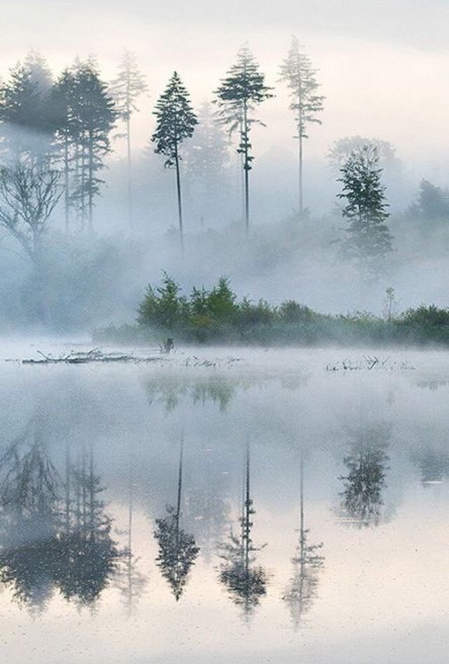 Jutta Streicher 🕊️ tweet media