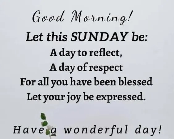 Jutta Streicher 🕊️ tweet media