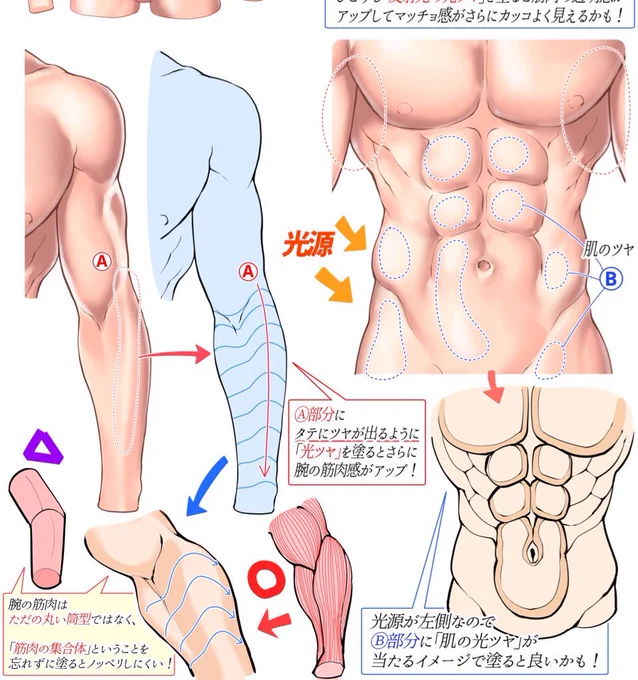 「人体のデッサンが苦手すぎる…‼️」

という人にこそ見てほしいFANBOX📝

体デッサンがプロ級になるためには
『体の骨格やバランス✨』を
練習しまくる必要があります🖋

その『シンプルな練習法の秘訣㊙️』をFANBOX講座ではたくさん公開しています🔥

【登録ページ👇】
https://t.co/UKiQpTPtxd 