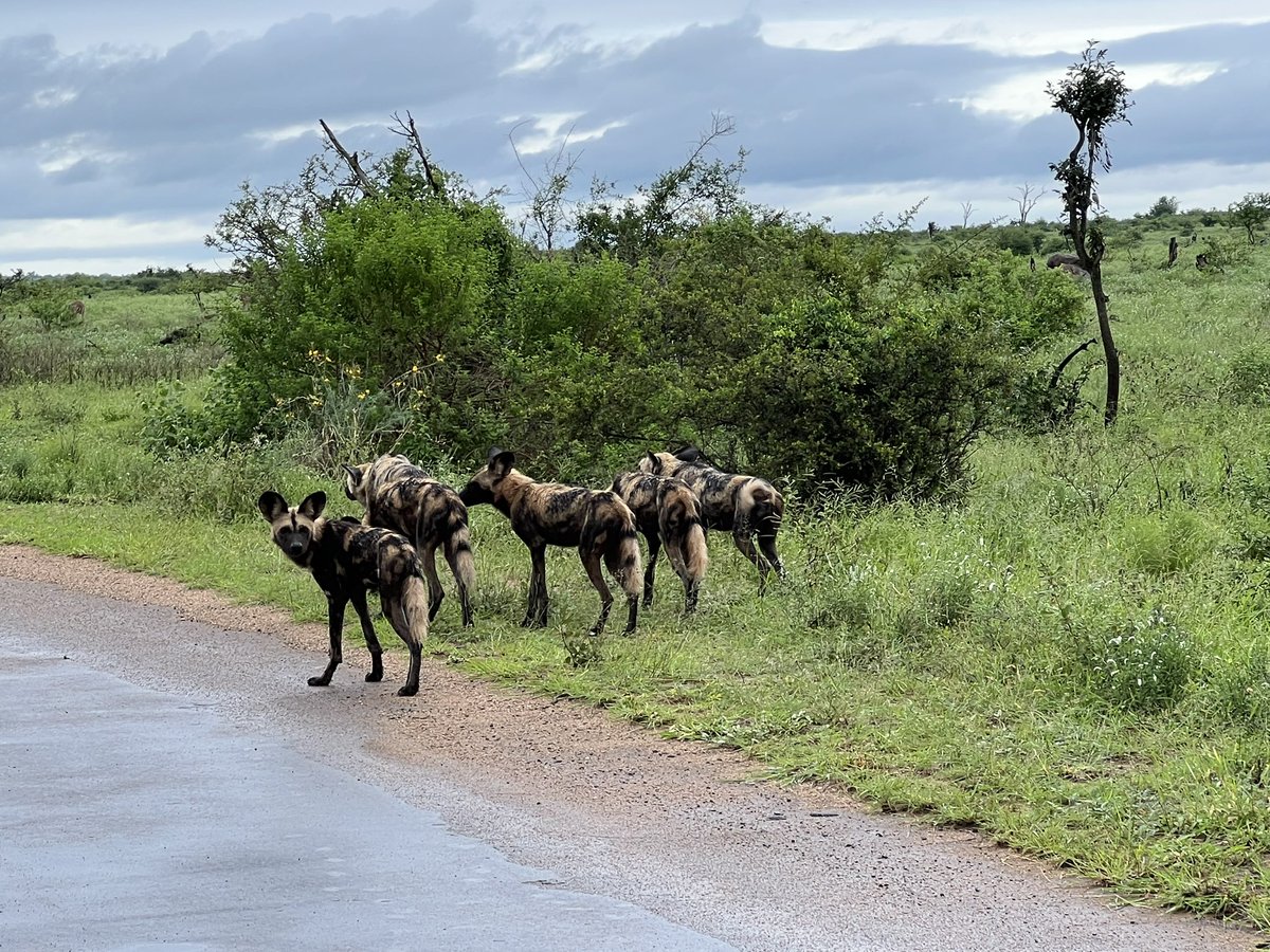 Nick Bell tweet media